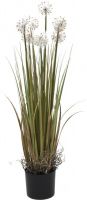 EUROPALMS Pusteblume, 107cm von Europalms