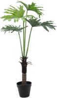 EUROPALMS Splitphilodendron, 120cm von Europalms