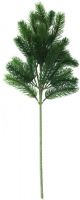 EUROPALMS Tannenzweig, PE, 65cm von Europalms