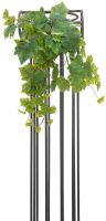 EUROPALMS Weinbuschranke Premium, 50cm von Europalms
