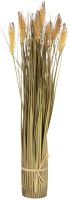 EUROPALMS Weizenbündel, 60cm von Europalms