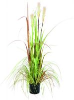 EUROPALMS Wildwuchs, 120cm von Europalms