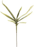 EUROPALMS Yuccazweig (EVA), grün von Europalms