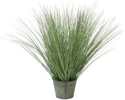 EUROPALMS Ziergras, 65cm EUROPALMS Ziergras, 65cm von Europalms