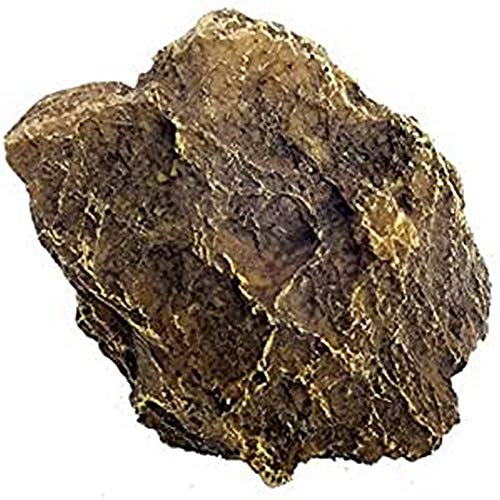 Europet Bernina 234-429495 Aquariumdekoration Aqua Della Stein, Sandfarben, 15.5 x 14 x 12 cm von Europet Bernina