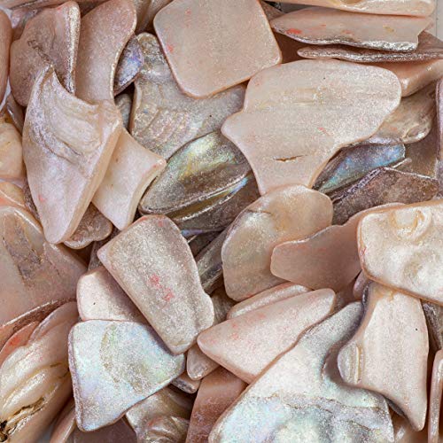 Eurosand 300 g / 250 ml Muschelscheiben Muschelbruch Perlmutt Martitim Muschelmix Shells 10-20 mm, Farbe: Creme von Eurosand