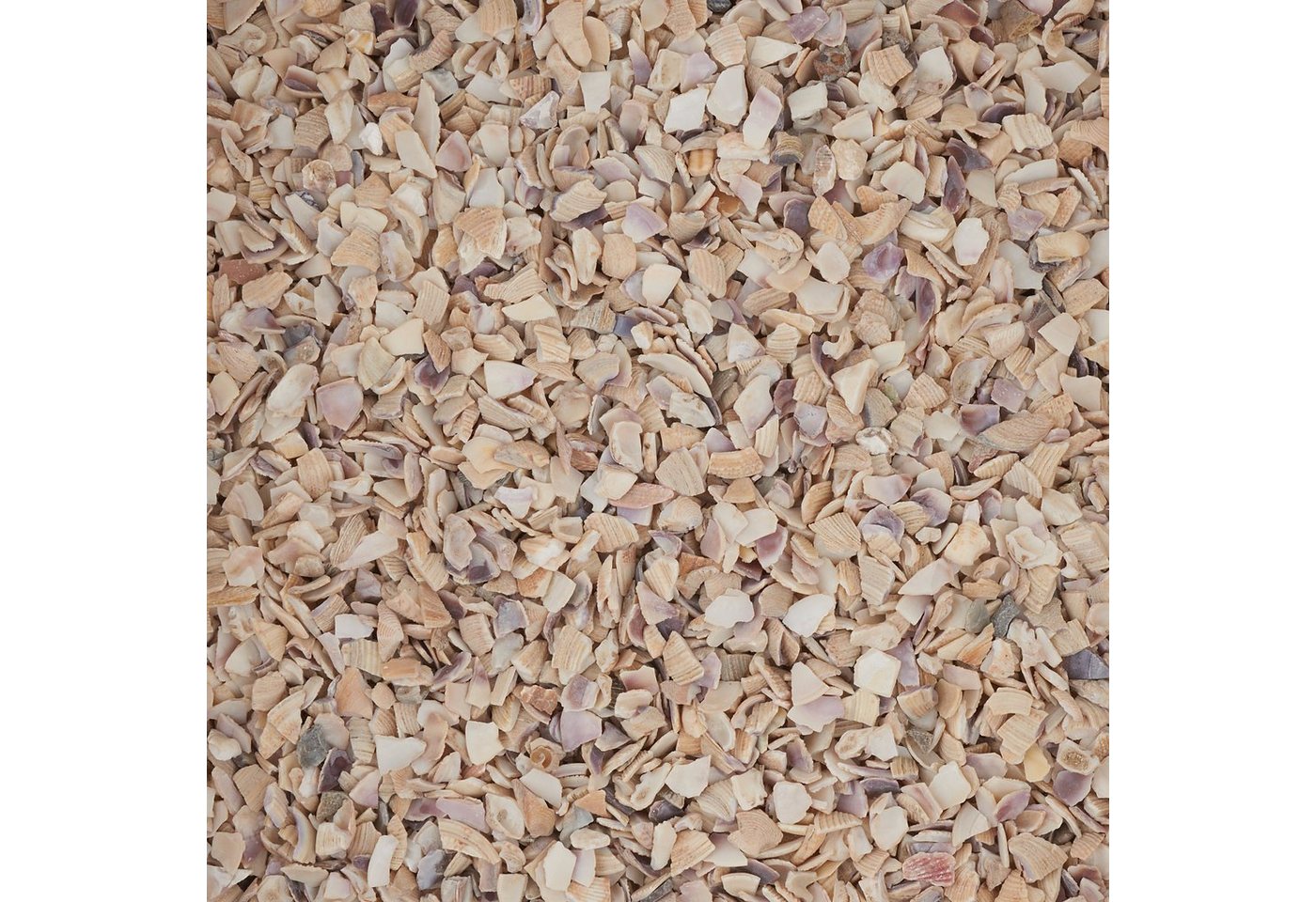 Eurosand Bastelnaturmaterial Muschelgranulat, 2-3mm 1 kg von Eurosand