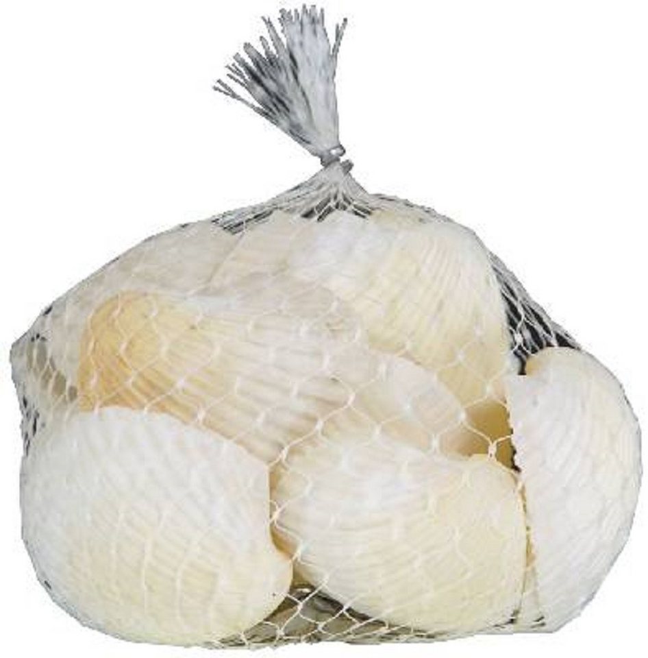 Eurosand Dekoobjekt MUSCHELN (Arca Arca) im Netz 250gr. WEISS von Eurosand