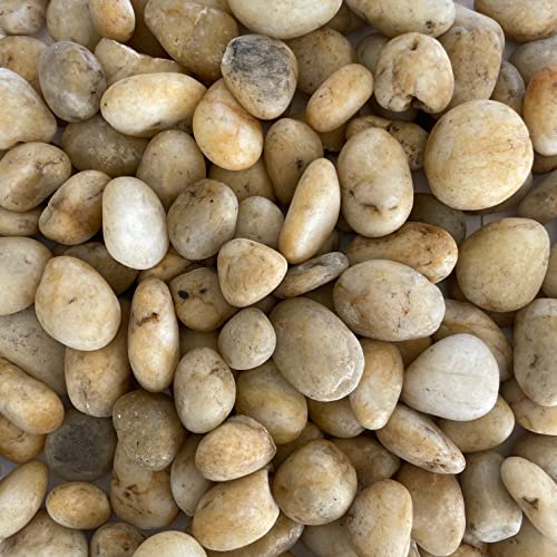 Eurosand FLUSSKIESEL, 1 kg. Kieselsteine gerundet, 20-60mm Flußkiesel 1000 g. Bernstein von Eurosand