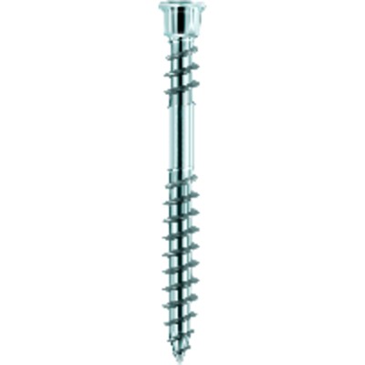 Terrassotec Edelstahl gehärtet 5,5 x 70 TX25 von Eurotec