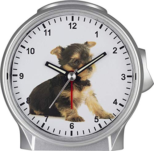 Eurotime Quarzwecker mit Yorkshire Terrier Motiv, individualisierbar mit Namen, Kunststoff-Gehäuse u. -Glas, geräuscharmer Wecker, kein Ticken, mit Licht und Snooze, 29682-07 von Eurotime