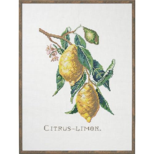 Eva Rosenstand Kreuzstich Set Citrus-Lemon Zählmuster Eva Rosenstand Kreuzstich Set Citrus-Lemon Zählmuster von Eva Rosenstand