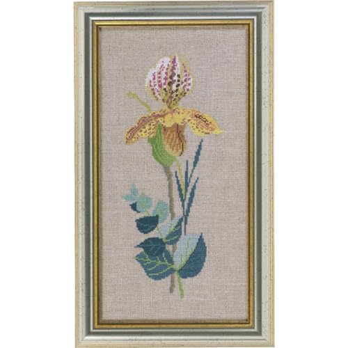 Eva Rosenstand Kreuzstich Set Gelbe Orchidee Zählmuster Eva Rosenstand Kreuzstich Set Gelbe Orchidee Zählmuster von Eva Rosenstand