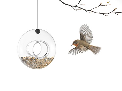 EVA SOLO | Futterring | Mundgeblasenes Glas, leicht zu reinigen | Outdoor EVA SOLO | Futterring | Mundgeblasenes Glas, leicht zu reinigen | Outdoor von EVA SOLO