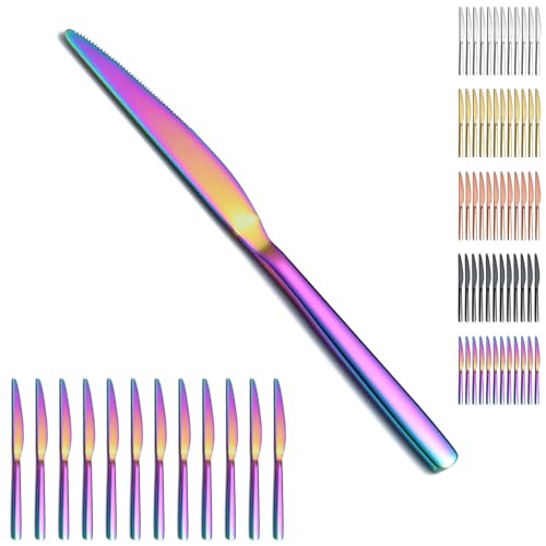 Evanda Regenbogen Tafelmesser Set 12 Stück, Titanbeschichtung Regenbogen Edelstahl Abendessen messer Steakmesser, Besteck Buttermesser Messer Set Silberbesteck Set, spülmaschinenfest von Evanda