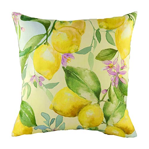 Evans Lichfield Fruit Lemons Kissen mit Polyester-Füllung, Mehrfarbig, 43 x 43 cm von Evans Lichfield