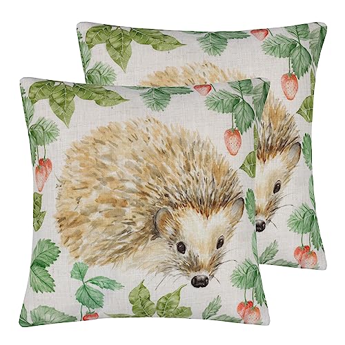 Evans Lichfield Hain Kissen mit Igel-Motiv, Polyester, gefüllt, Doppelpack von Evans Lichfield