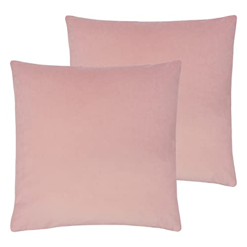 Paoletti Sunningdale Feder gefüllte Kissen (Twin Pack), Polyester, Powder, 50 x 50cm, 2 von Paoletti