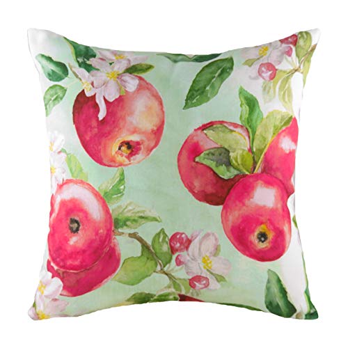 Evans Lichfield Fruit Apples Kissen, Polyester-Füllung, 43 x 43 cm, Mehrfarbig von Evans Lichfield