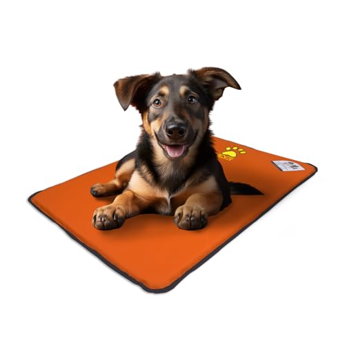 EVE Textile Hundematte | Katzenmatte | Hundekissen | Katzenkissen | Hundebett | Katzenbett | Matte für Hunde und Katzen | Beidseitig Verwendbar | Atmungsaktiv | Kühlend | 50x70x2 cm (Orange) von Eve Textile GmbH