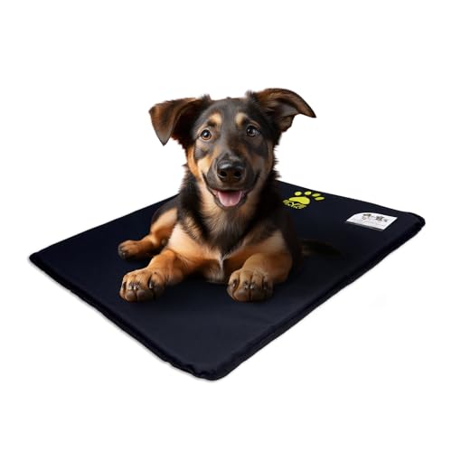 EVE Textile Hundematte | Katzenmatte | Hundekissen | Katzenkissen | Hundebett | Katzenbett | Matte für Hunde und Katzen | Beidseitig Verwendbar | Atmungsaktiv | Kühlend | 50x70x2 cm (Schwarz) von Eve Textile GmbH