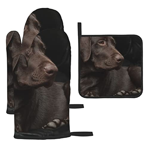 Braun Labrador Retriever bedruckte Ofenhandschuhe und Topflappen Set 3-teilig mit Umhängeband Hitzebeständige Handschuhe Topflappen Set für Küche Ofenhandschuh Kochen von Evealyn
