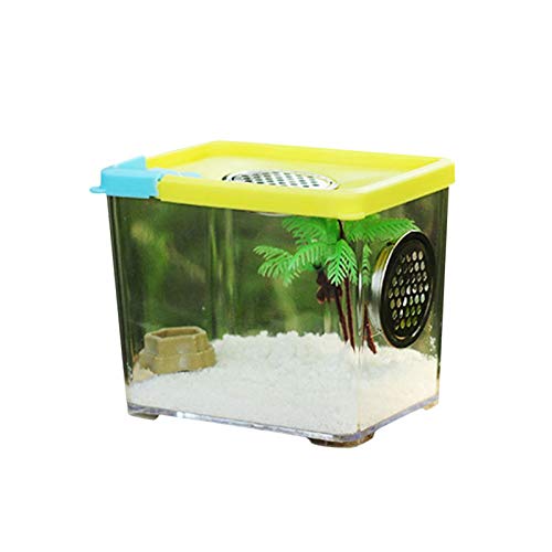 Insect Feeding Box, Acryl-Terrarium-Behälter Für Spinnenechsen- -Skorpion, Tragbarer Kriechender Haustier-Reptilien-Lebensraum, Anti-Flucht-Design Spinnen Terrarium von Evenlyao