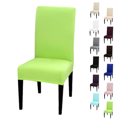Event Kauf Stuhlhusse Stretch elastischer Stuhlüberzug Esszimmer Stuhlbezug Dehnbar Hochzeit Hussen bi-Elastic Spannbezug, 1 Stück (Hellgrün) von eventkauf