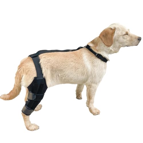Eventerde Kniebandage für Hunde | Manschette für Hinterbeine | Verstellbare Kniebandage mit Stützgurt für Rehabilitation und Muskelschwäche Eventerde Kniebandage für Hunde | Manschette für Hinterbeine | Verstellbare Kniebandage mit Stützgurt für Rehabilitation und Muskelschwäche von Eventerde