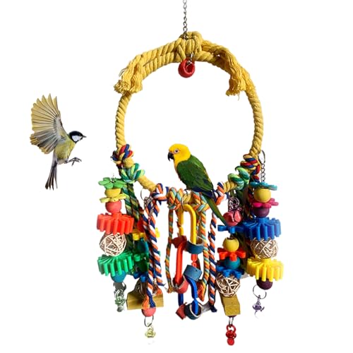 Eventerde Papageienschaukel | Bunte Ringschaukel für Wellensittiche | Interaktive Spiele Übung Knabbern Klettern für Wellensittiche Nymphensittiche Untrennbar Kanarienvogel von Eventerde