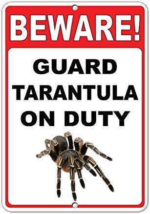 Everett Goodman Home Decor – Sicherheitsschild "Beware! Guard Tarantula On Duty.20,3 x 30,5 cm Metall-Blechschild von Everett Goodman