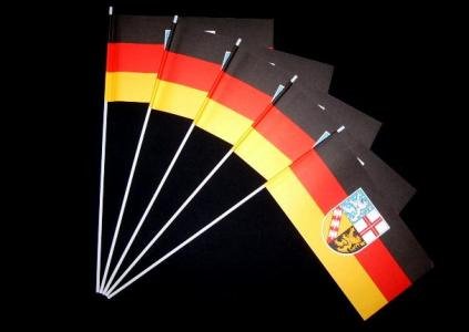 Everflag Papierfähnchen: Saarland 50er Packung von Everflag