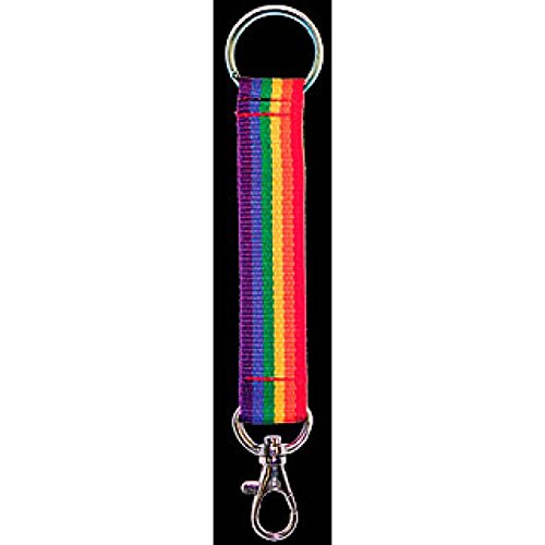 Everflag Regenbogen Schlüsselband mit Karabinerhaken und Ring 11cm lang von Everflag