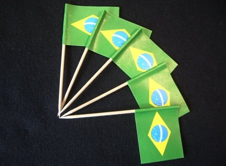 Everflag Zahnstocher : Brasilien 50er Packung von Everflag