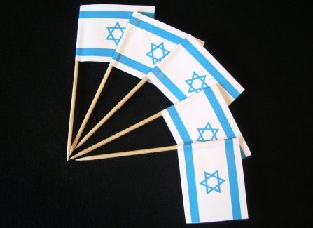 Everflag Zahnstocher : Israel 50er Packung von Everflag