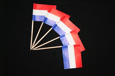 Everflag Zahnstocher : Niederlande 50er Packung von Everflag