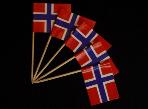 Everflag Zahnstocher : Norwegen 50er Packung von Everflag