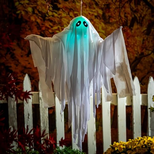 Evergreen Animierter schwimmender Geist mit Farbwechsel-Lichtern, Halloween-Hängedekoration mit LED-Lichtern von Evergreen Flag