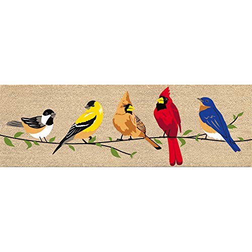 Evergreen Flag Birds on a Branch Kensington Switch Matte, 23 x 71 cm, bunt, stilvoll und langlebig, Tür- und Bodenmatte für Terrasse und Hof von Evergreen Flag