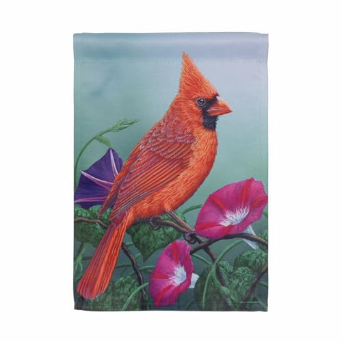 Evergreen Flag Frühlingsflaggen, 30,5 x 45,7 cm, doppelseitig, Vogel-Gartenflaggen für draußen, kleine Hausflagge für Höfe und Gärten, Geschenk für Vogelliebhaber (Morning Cardinal) von Evergreen Flag
