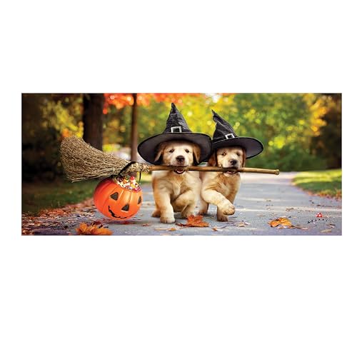 Evergreen Flag Halloween Sassafras Switch Mat 55,9 x 25,4 cm, austauschbare Haustürmatte für den Außenbereich, Eingang, Eingangsteppich, Herbst-Sassafras-Fußmatten-Einsätze (Golden mit Besen) von Evergreen Flag