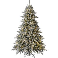 Evergreen Weihnachtsbaum »Fichte Frost«, Höhe: 210 cm, grün/weiß, beleuchtet - gruen von Evergreen