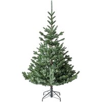 Evergreen Weihnachtsbaum Kiefer 180 cm Evergreen Weihnachtsbaum Kiefer 180 cm von Evergreen