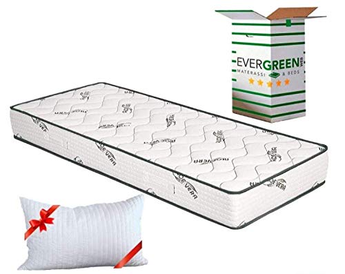 EVERGREENWEB Orthopädische Matratze 85x195 Höhe 20 cm + Visco Kissen GRATIS Kaltschaummatratze mit Aloe Vera Massageeffekt Atmungsaktiv Milbendicht Bezug für Lattenrost oder Bett von EVERGREENWEB MATERASSI & BEDS