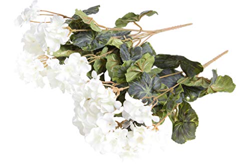 Evergreens künstlicher Geranienbusch mit 7 Stielen und 3 kleinen und 4 größeren Blütenköpfen (2 Stück) (Creme-weiß) von Evergreens