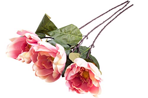 künstliche Magnolie mit Einer großen Blüte und langem Stiel (3 Stück) (pink-Creme) von Evergreens