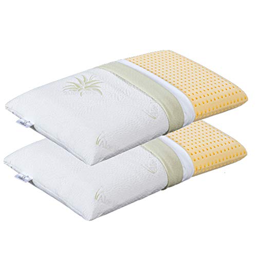 EVERGREENWEB 2er Set Orthopädische Viscoschaumstoff Kissen 40x70 h9 cm Kern aus Viscoelastische Viscoschaum und Kissenbezug Aloe Vera Kopfkissen, Nackenkissen, Medizinisches Gerät, Made in Italy von EVERGREENWEB MATERASSI & BEDS