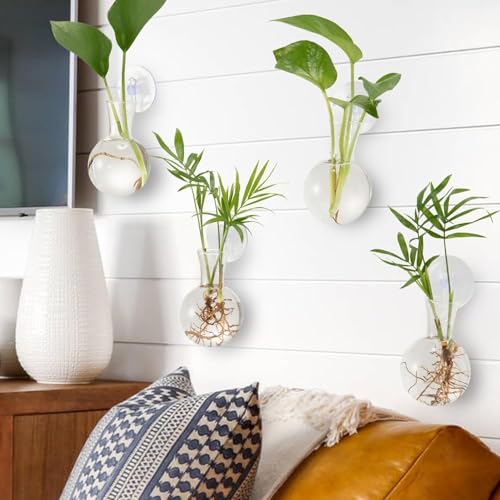 Everkeen Vase mit Saugnapf 4 Stück Fenster Pflanze Propagation Station Hängende Glasvase Pflanze Terrarium Anzuchtstation Pflanzgefäß Keine Nägel Everkeen Vase mit Saugnapf 4 Stück Fenster Pflanze Propagation Station Hängende Glasvase Pflanze Terrarium Anzuchtstation Pflanzgefäß Keine Nägel von Everkeen