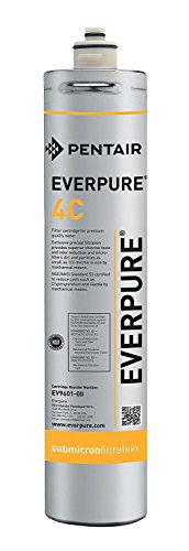 Everpure EV9601-00 4C Wasserfilter Sys SGL, grau, 1 Stück (1er Pack) von Everpure