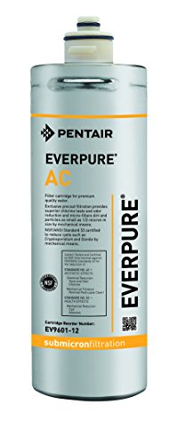 Everpure EV960112 Aktivkohle Wasserfilter von Everpure